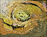 Phyliss Jaffe/Untitled
